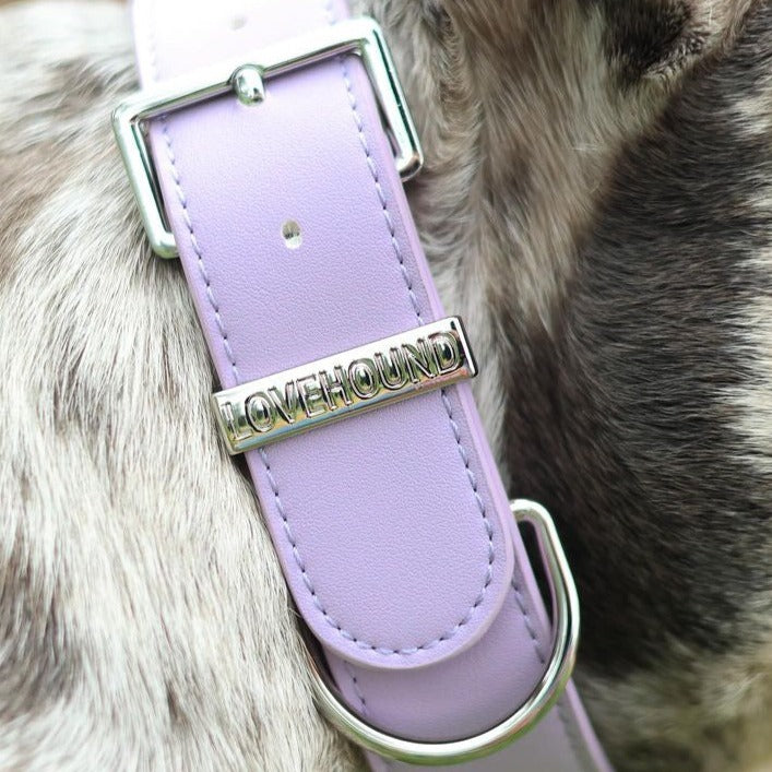 Classic Dog Collar - Lilac
