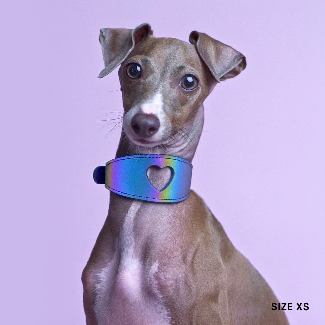 Sweetheart Dog Collar - Galaxy
