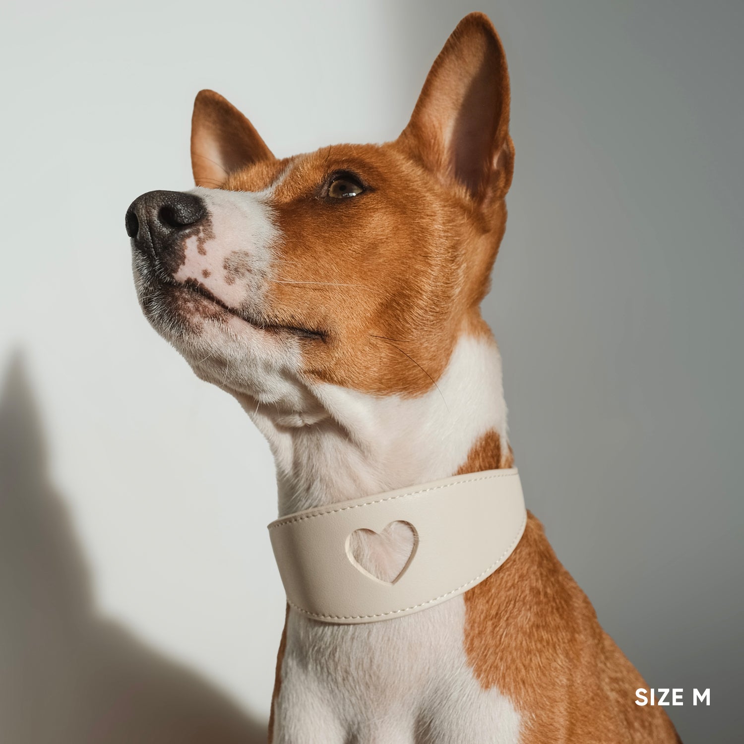 Sweetheart Dog Collar - Cream