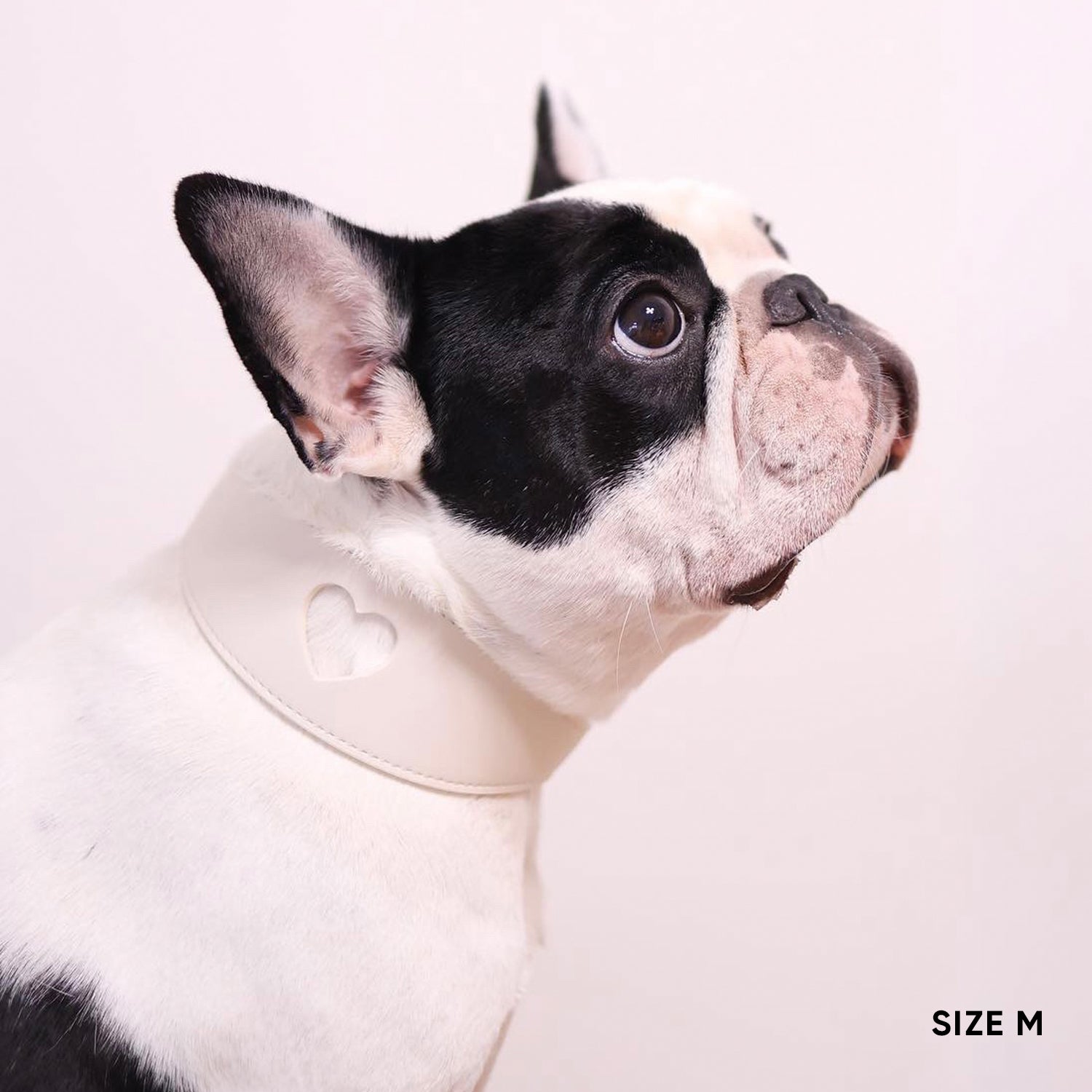 Sweetheart Dog Collar - Cream