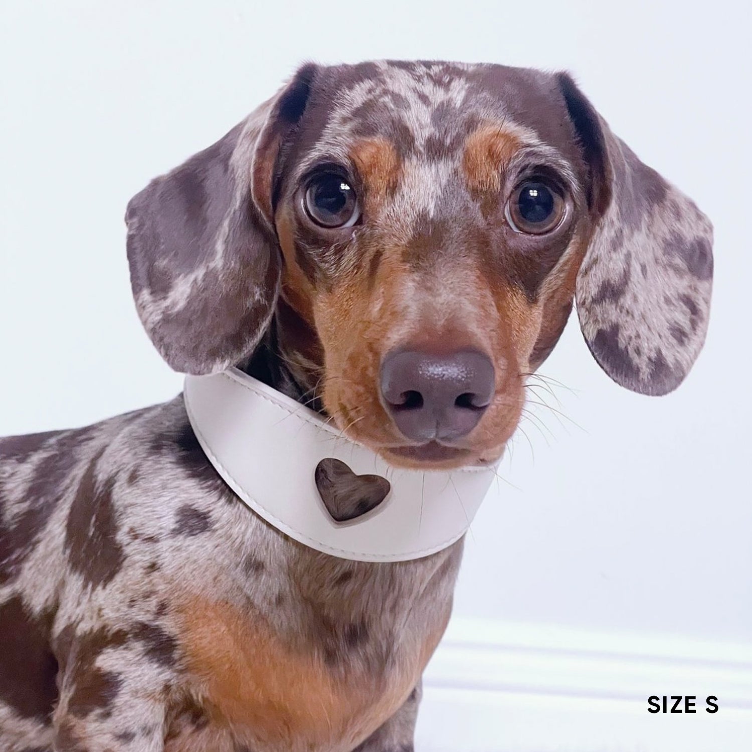 Sweetheart Dog Collar - Cream