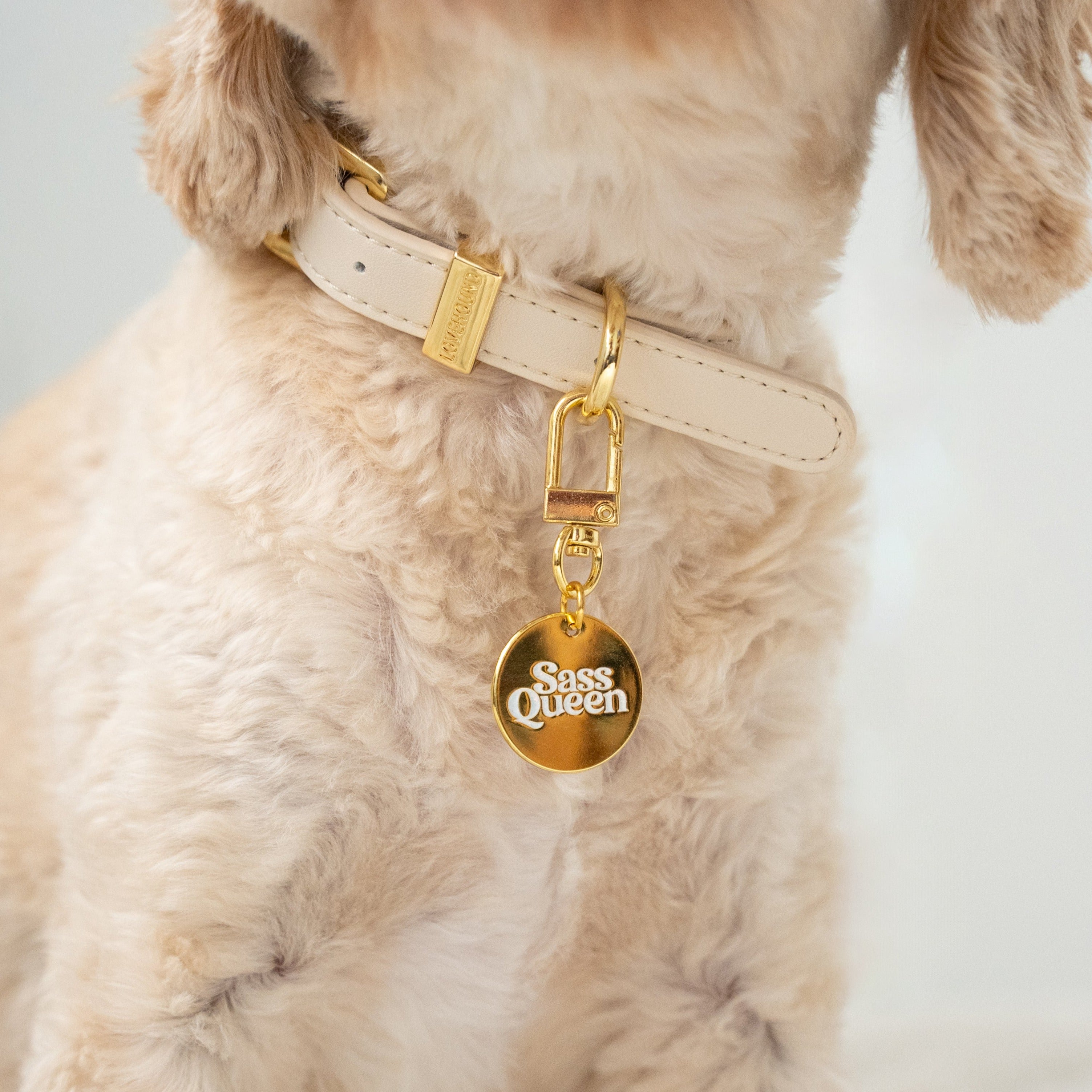 Dog Collar Charm - Sass Queen