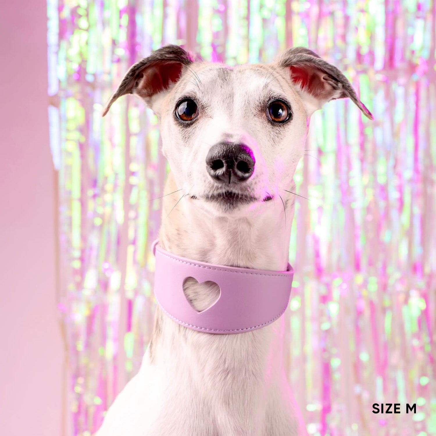 Sweetheart Dog Collar - Lilac