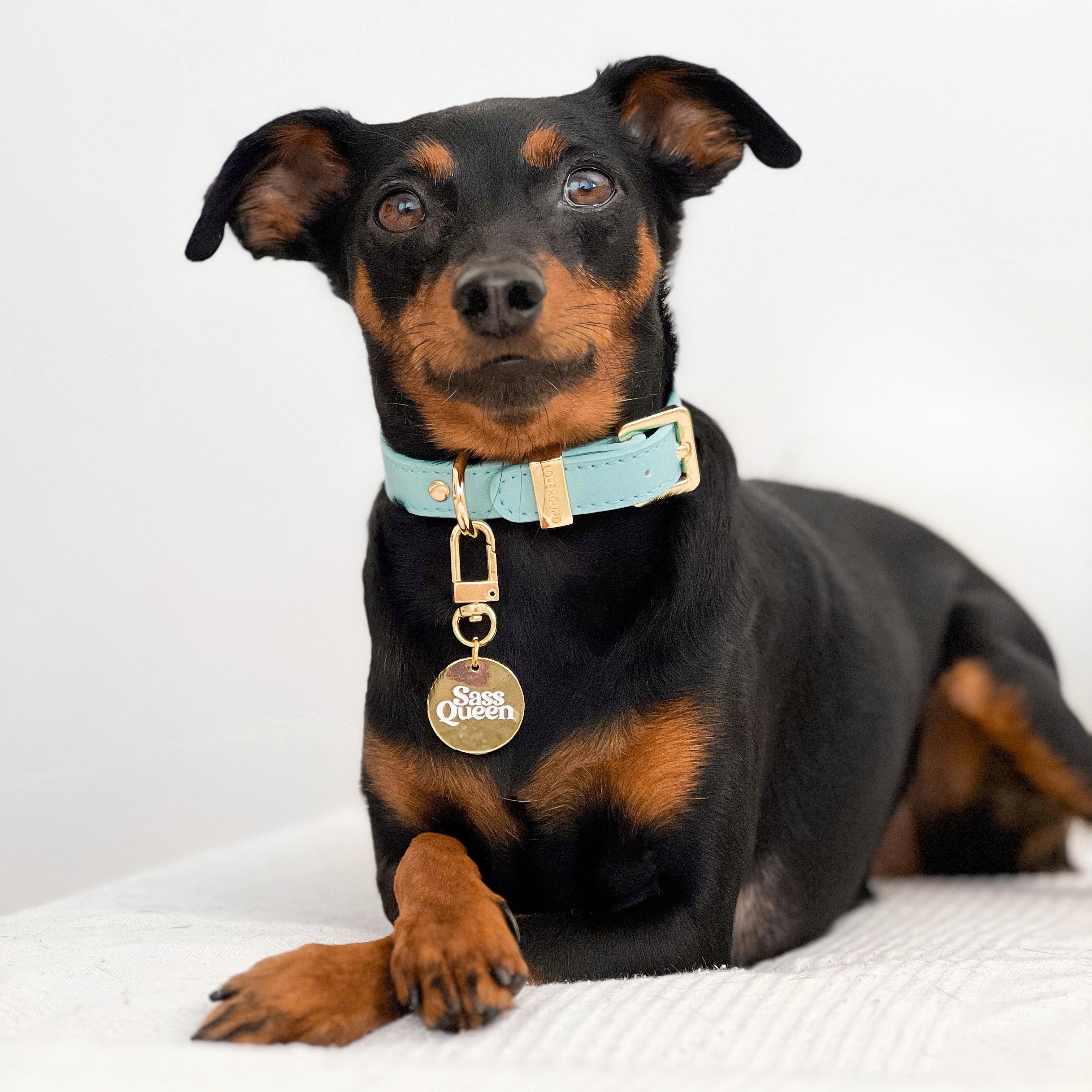 Dog Collar Charm - Sass Queen