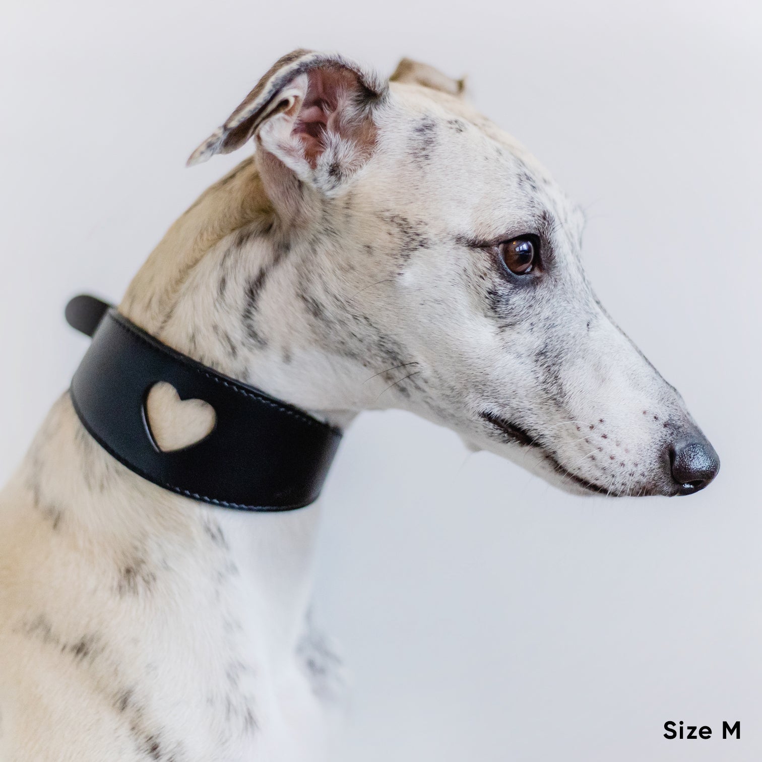 Sweetheart Dog Collar - Black
