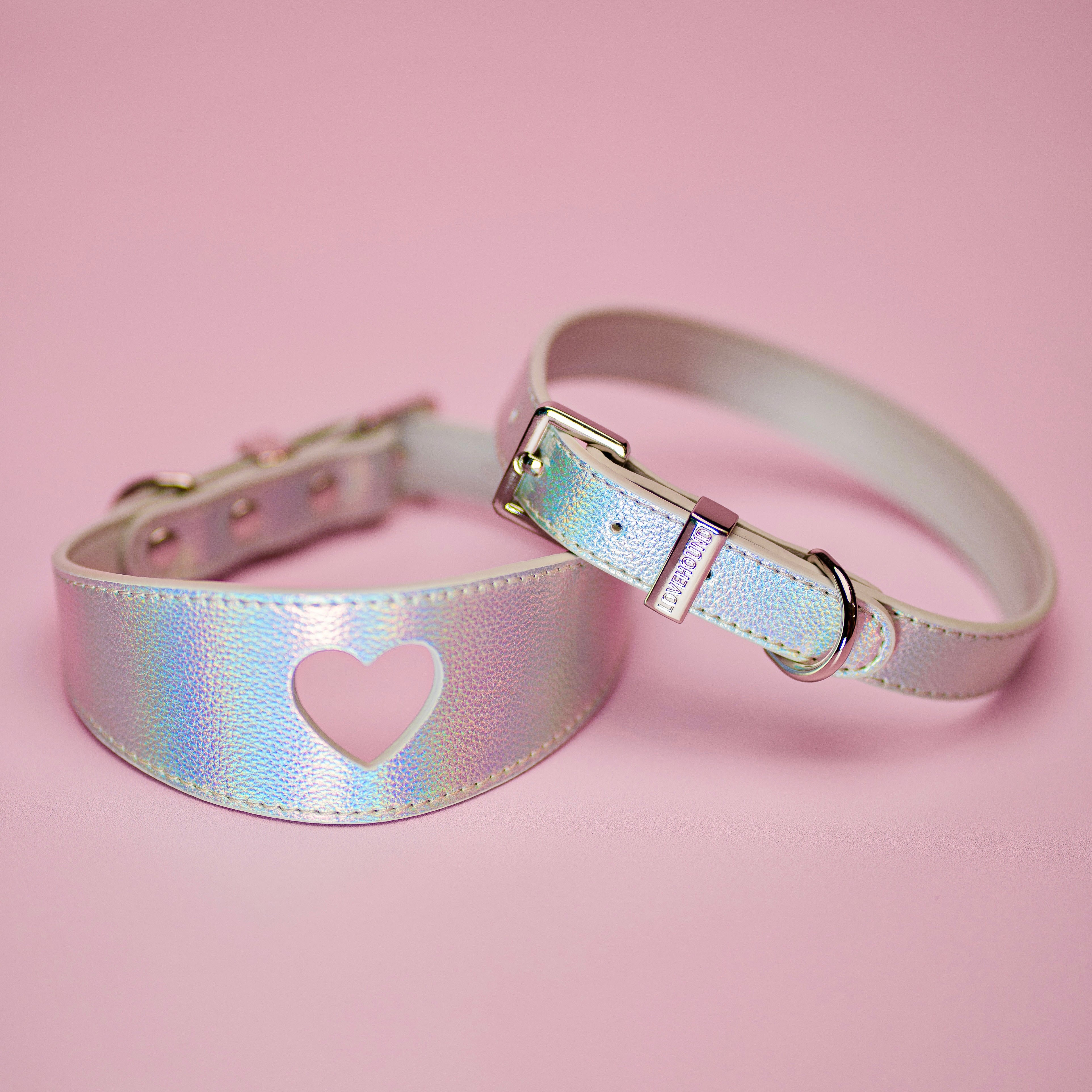 Classic Dog Collar - Holo Silver