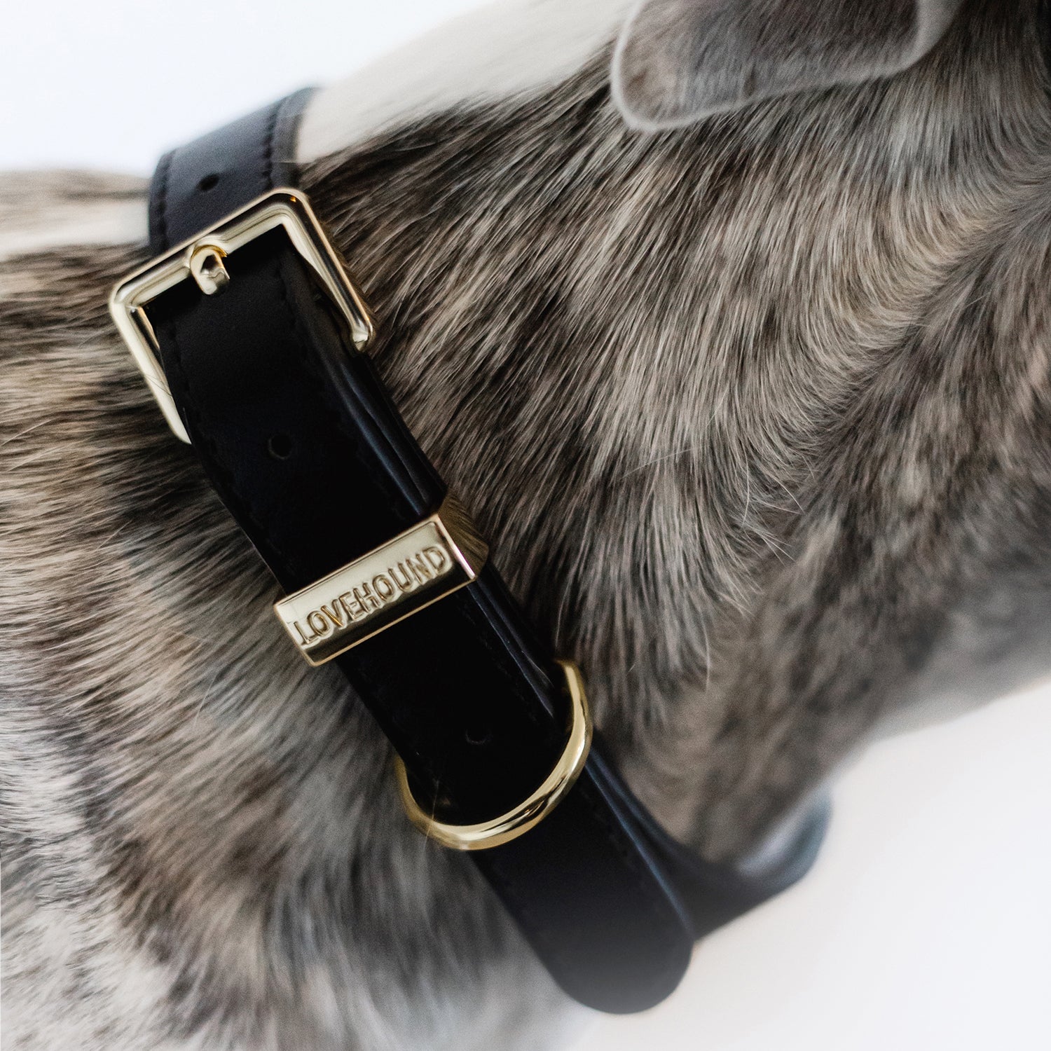 Classic Dog Collar - Black