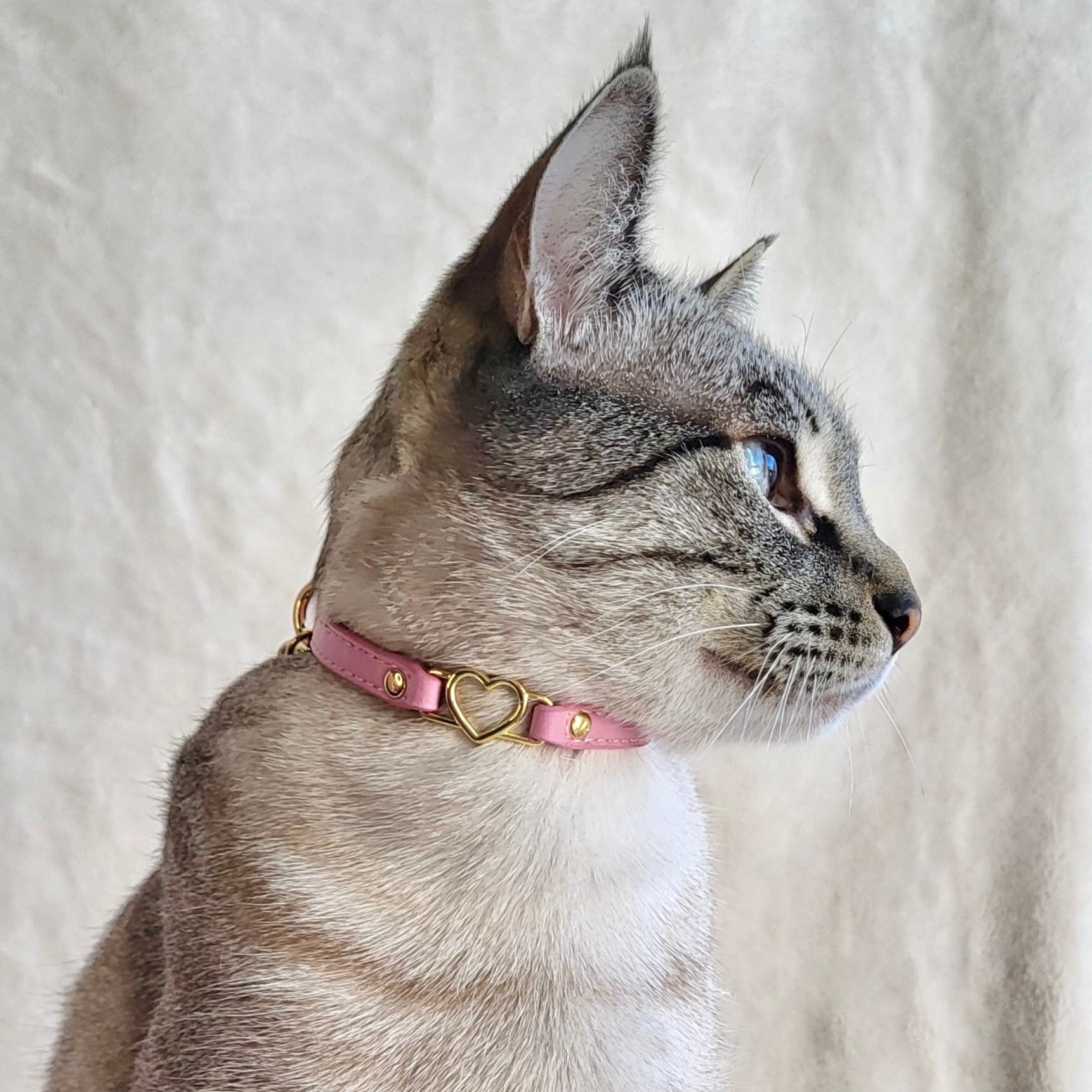 Cat Collar - Blossom Pink