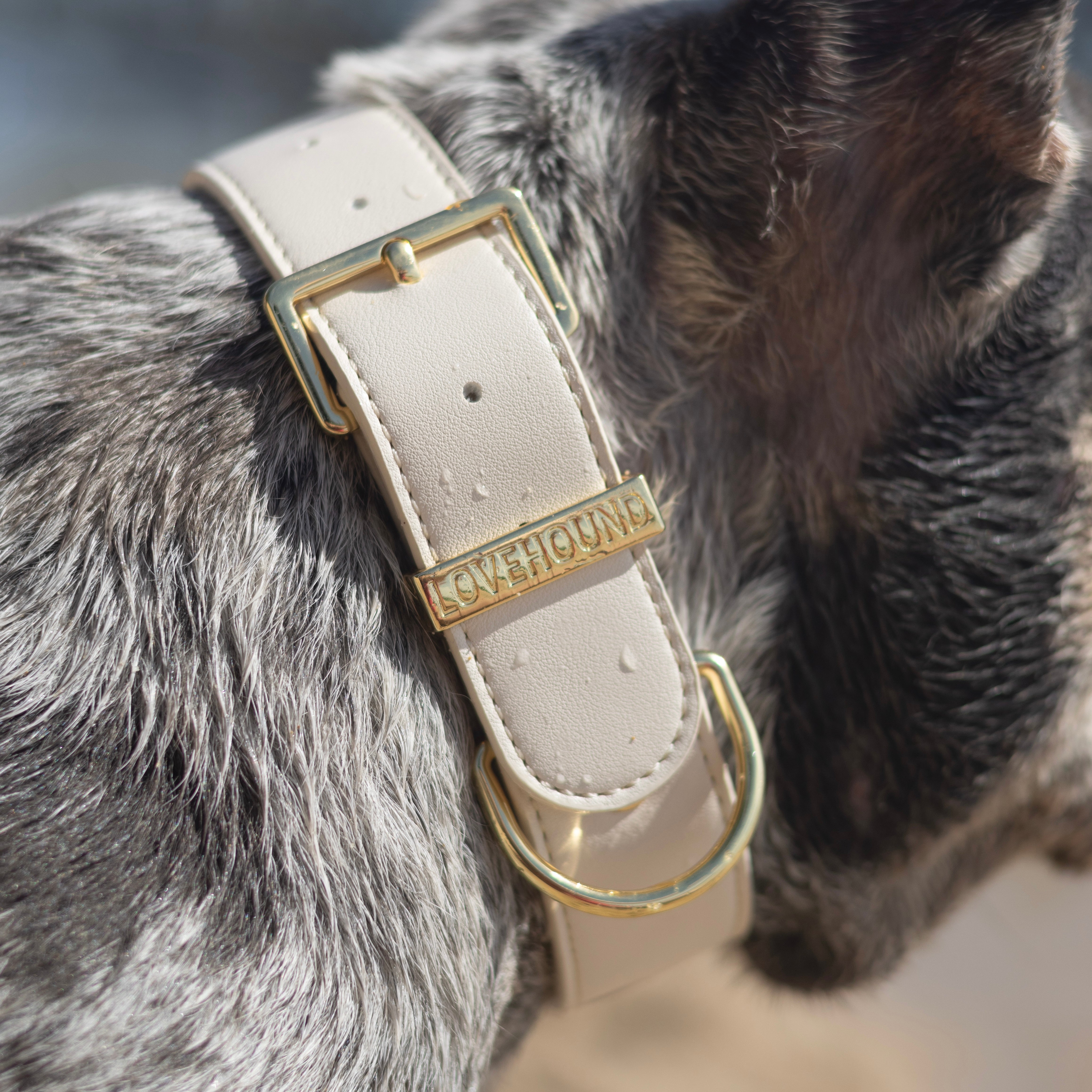 Classic Dog Collar - Cream