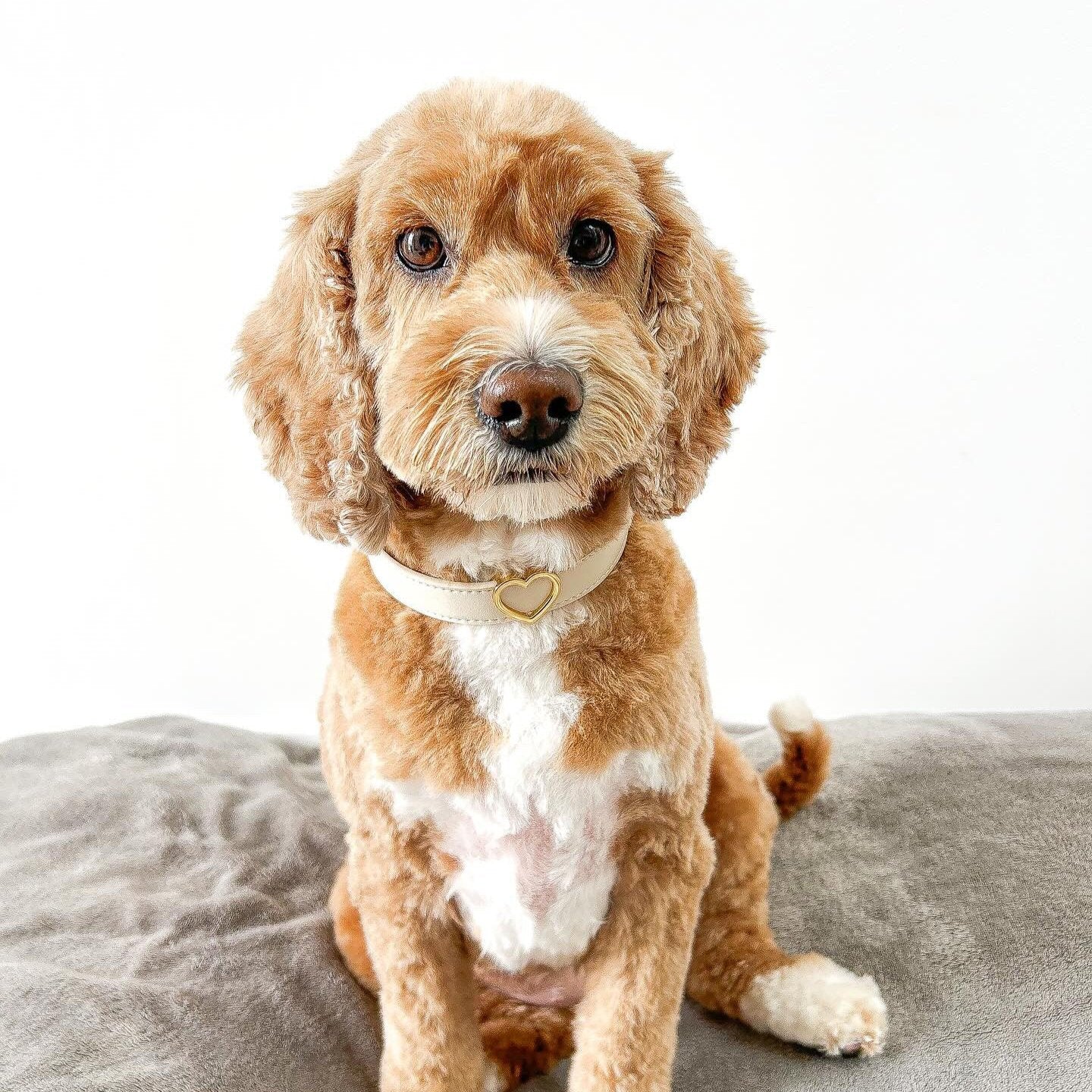 Heart Collar Charm - Gold