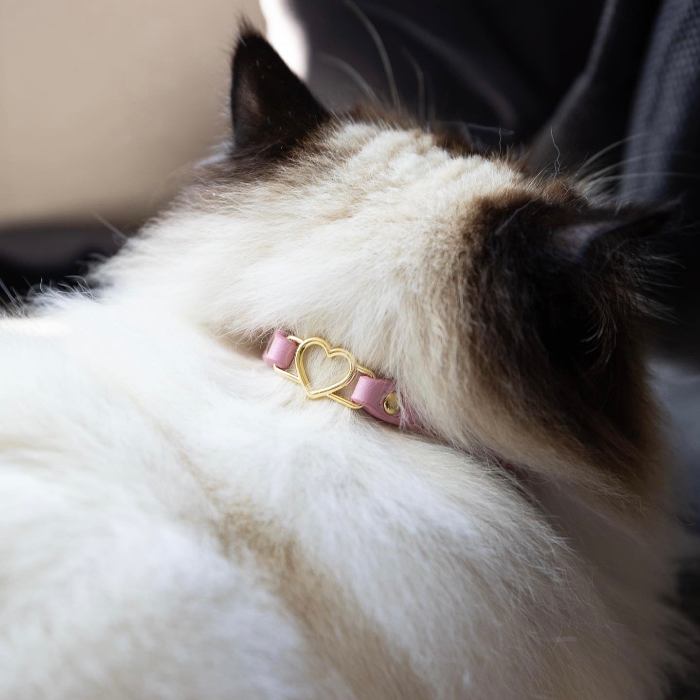 Cat Collar - Blossom Pink