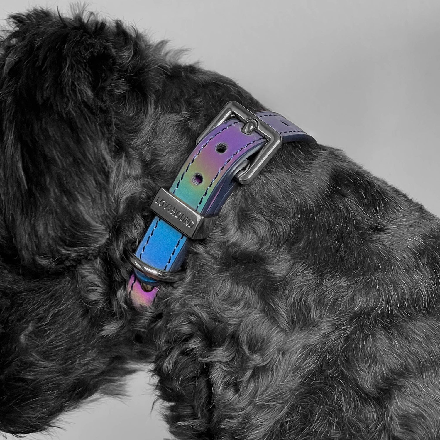 Classic Dog Collar - Galaxy