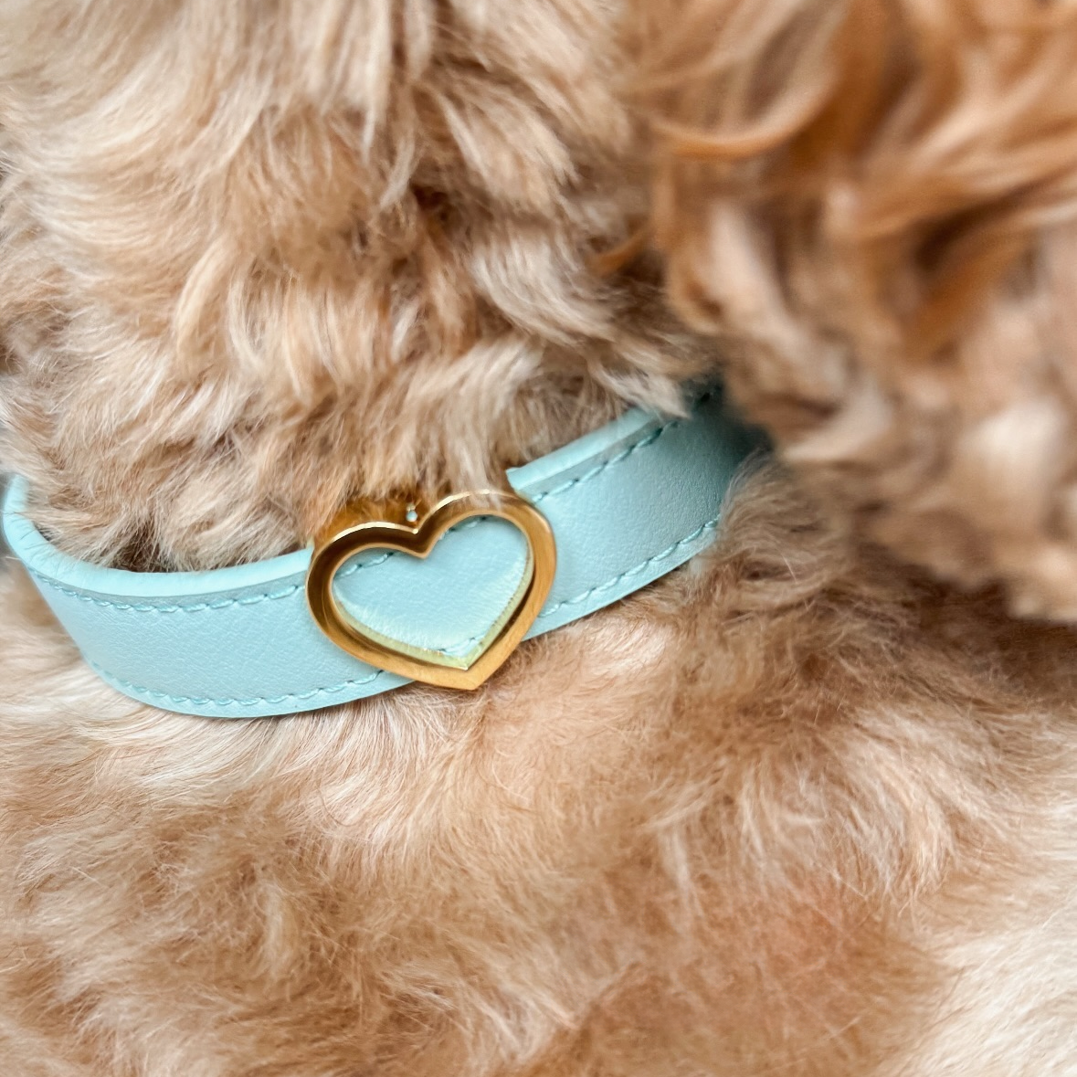 Heart Collar Charm - Gold