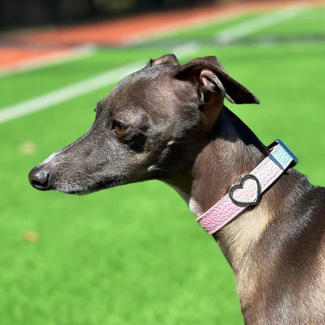 Heart Collar Charm - Silver