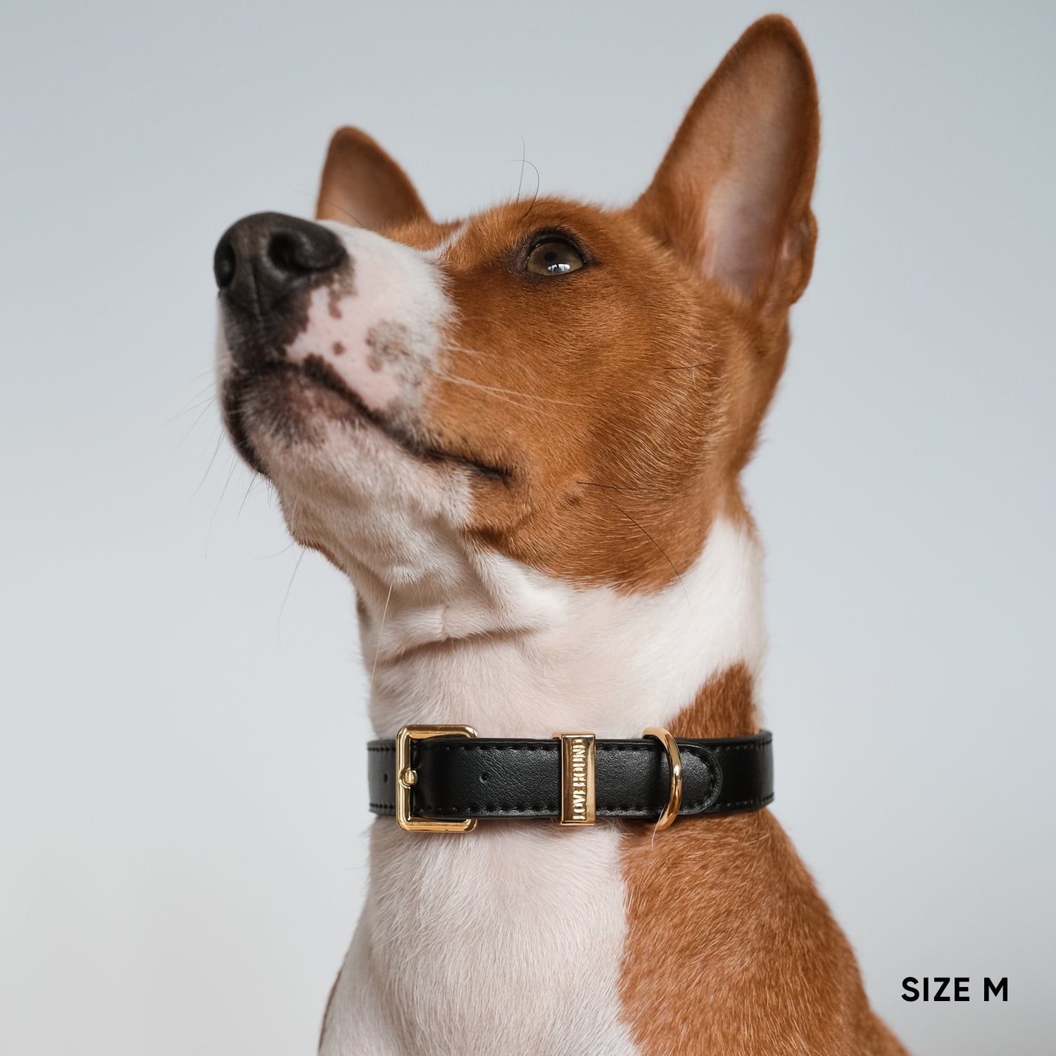 Classic Dog Collar - Black