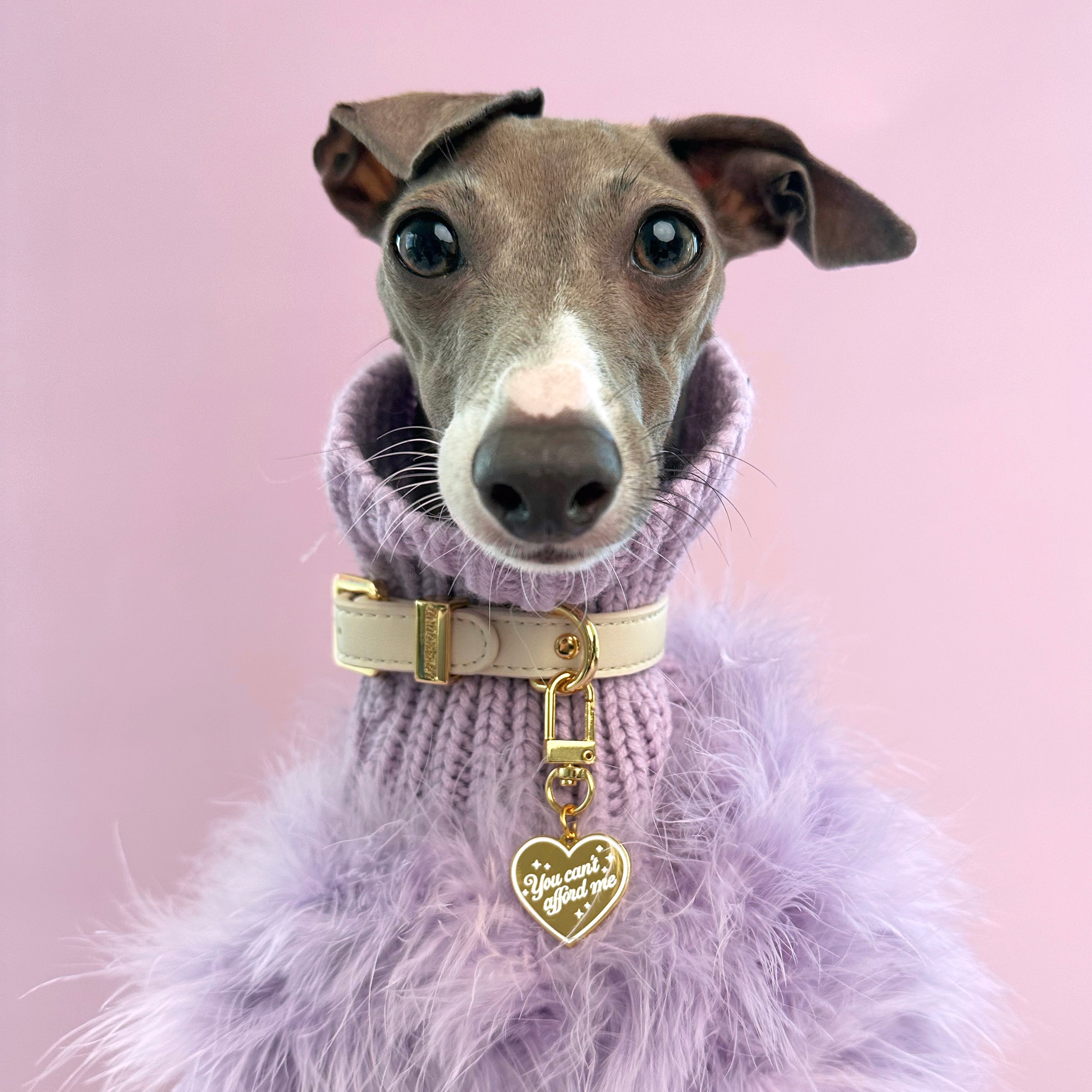 Dog Collar Charm - You Can't Afford Me