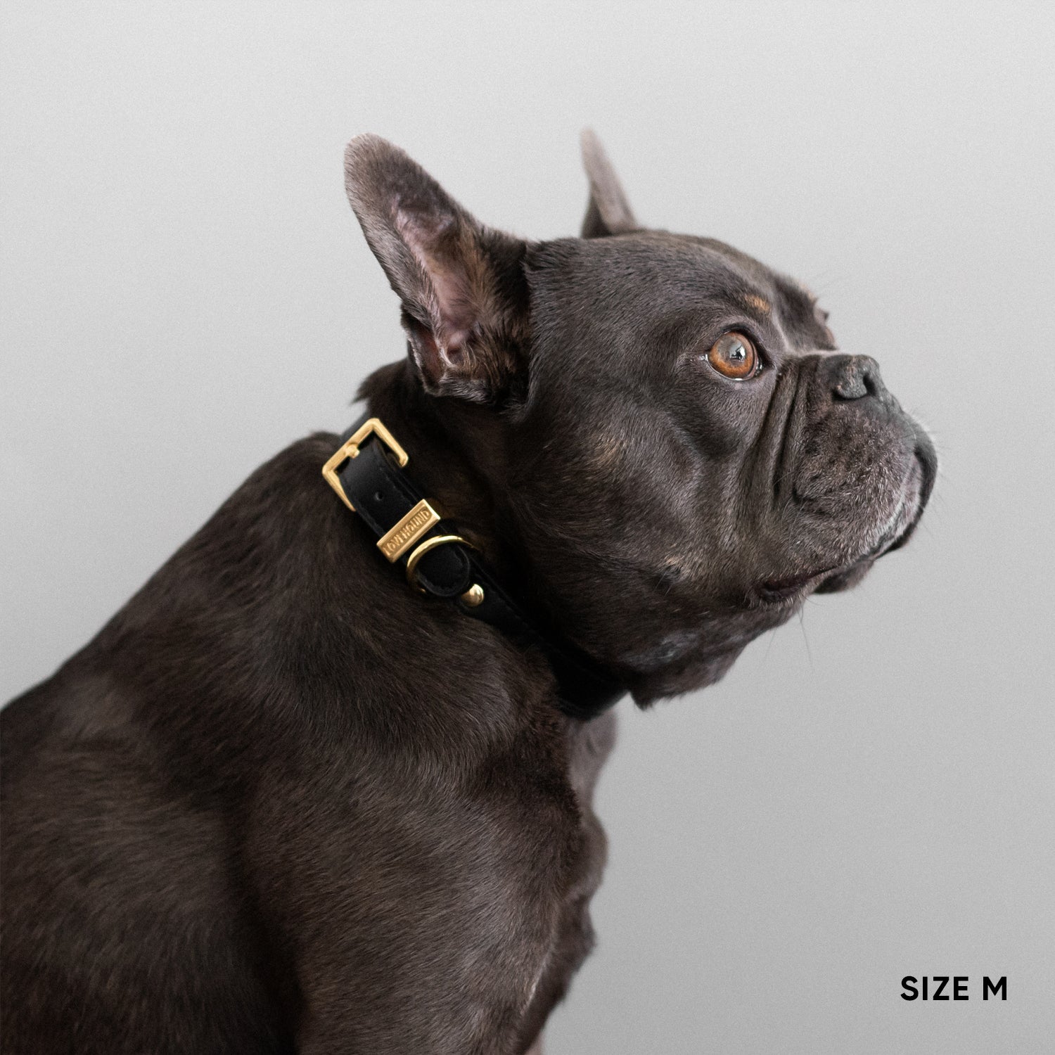 Classic Dog Collar - Black