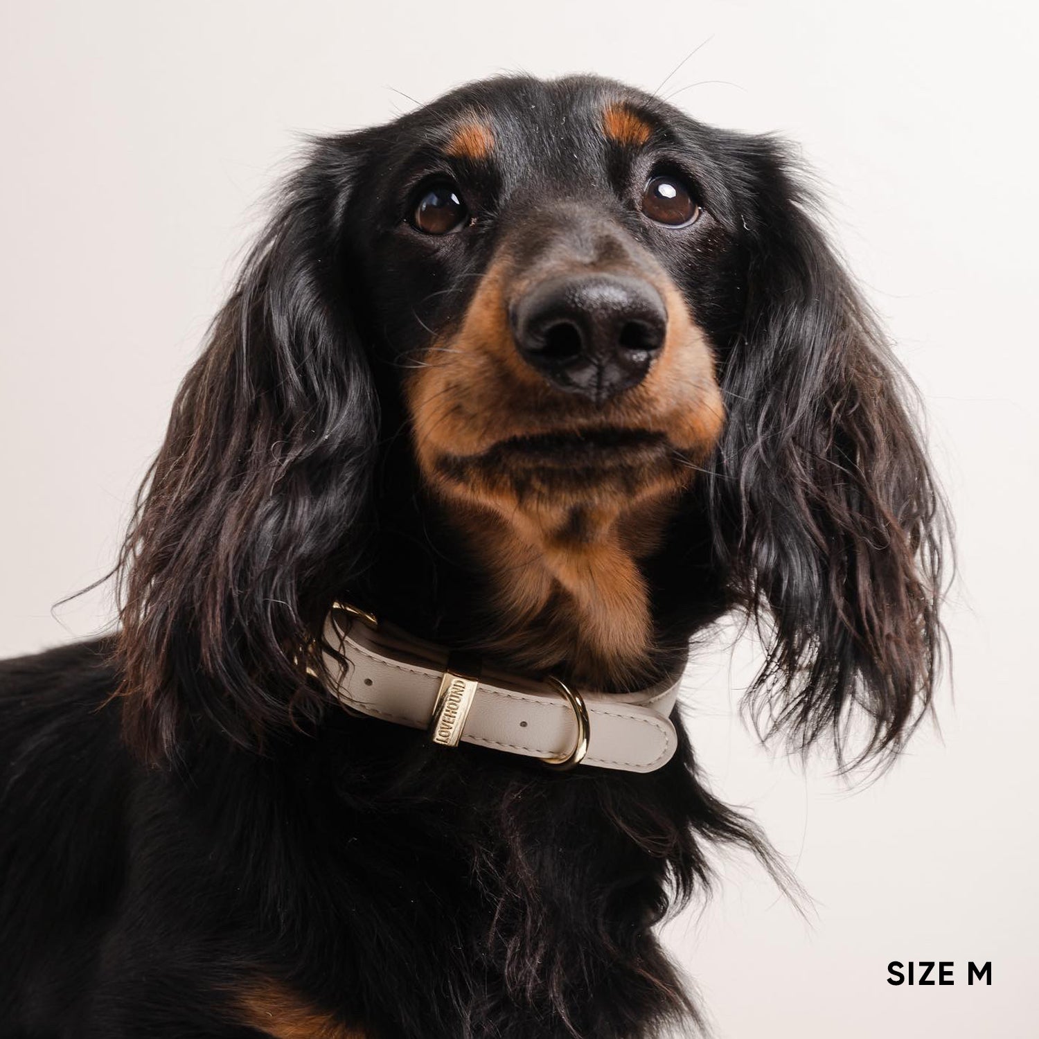 Classic Dog Collar - Cream