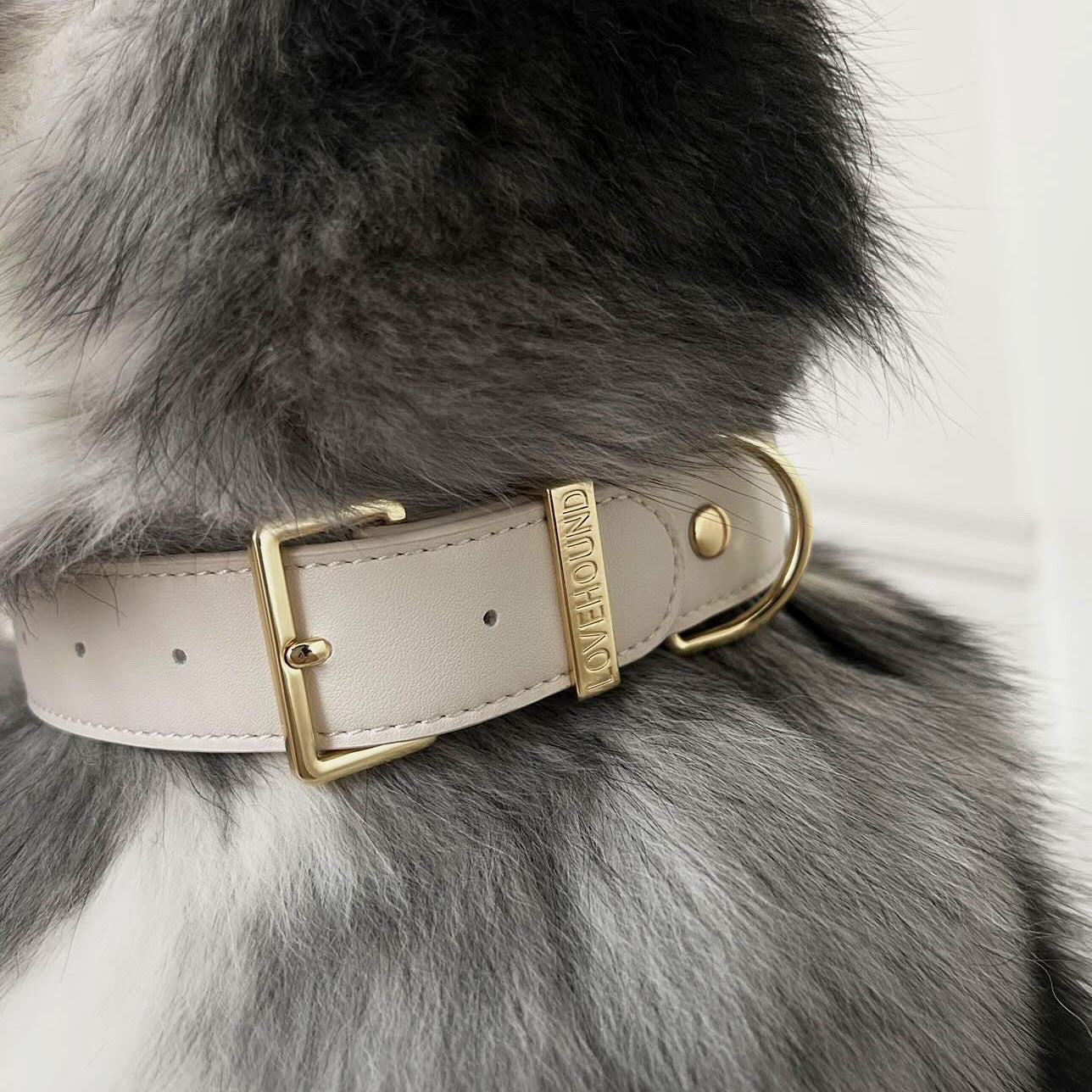 Classic Dog Collar - Cream
