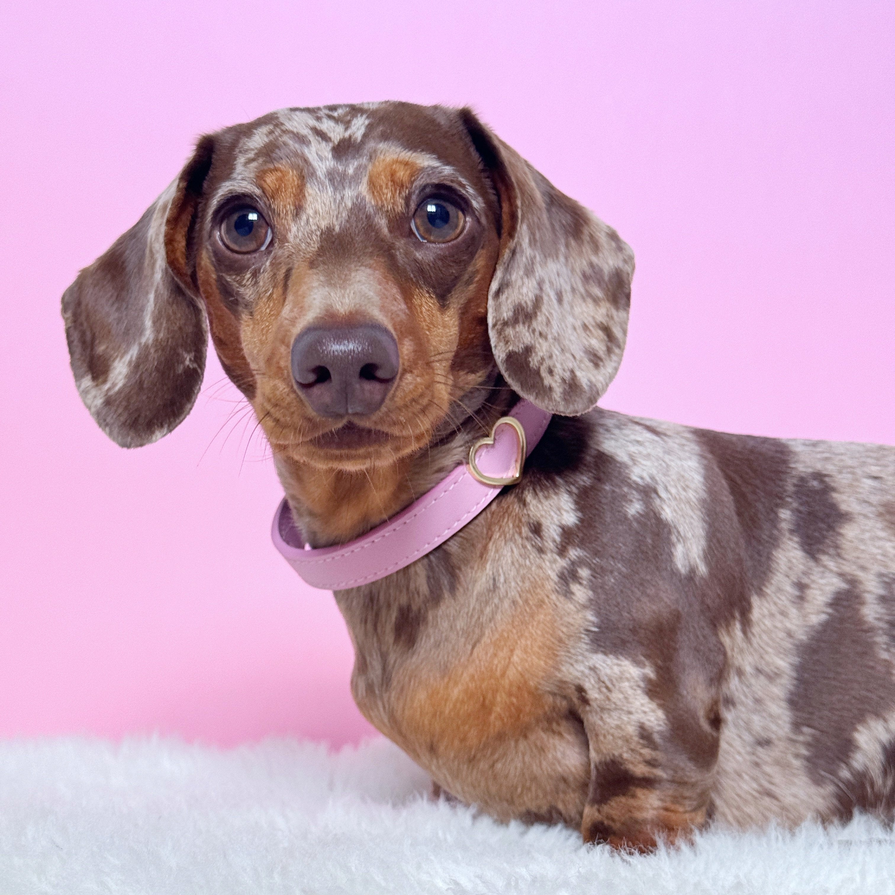 Heart Collar Charm - Gold