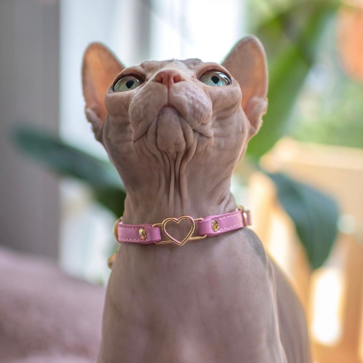 Cat Collar - Blossom Pink