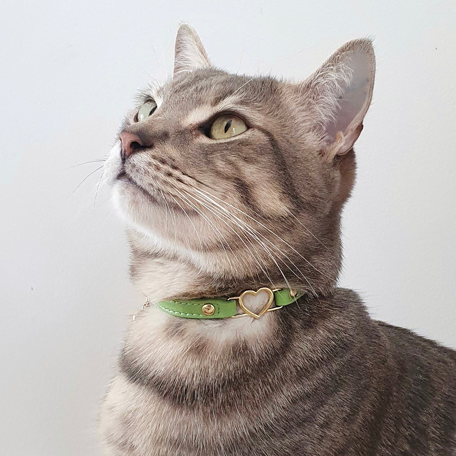 Cat Collar - Green