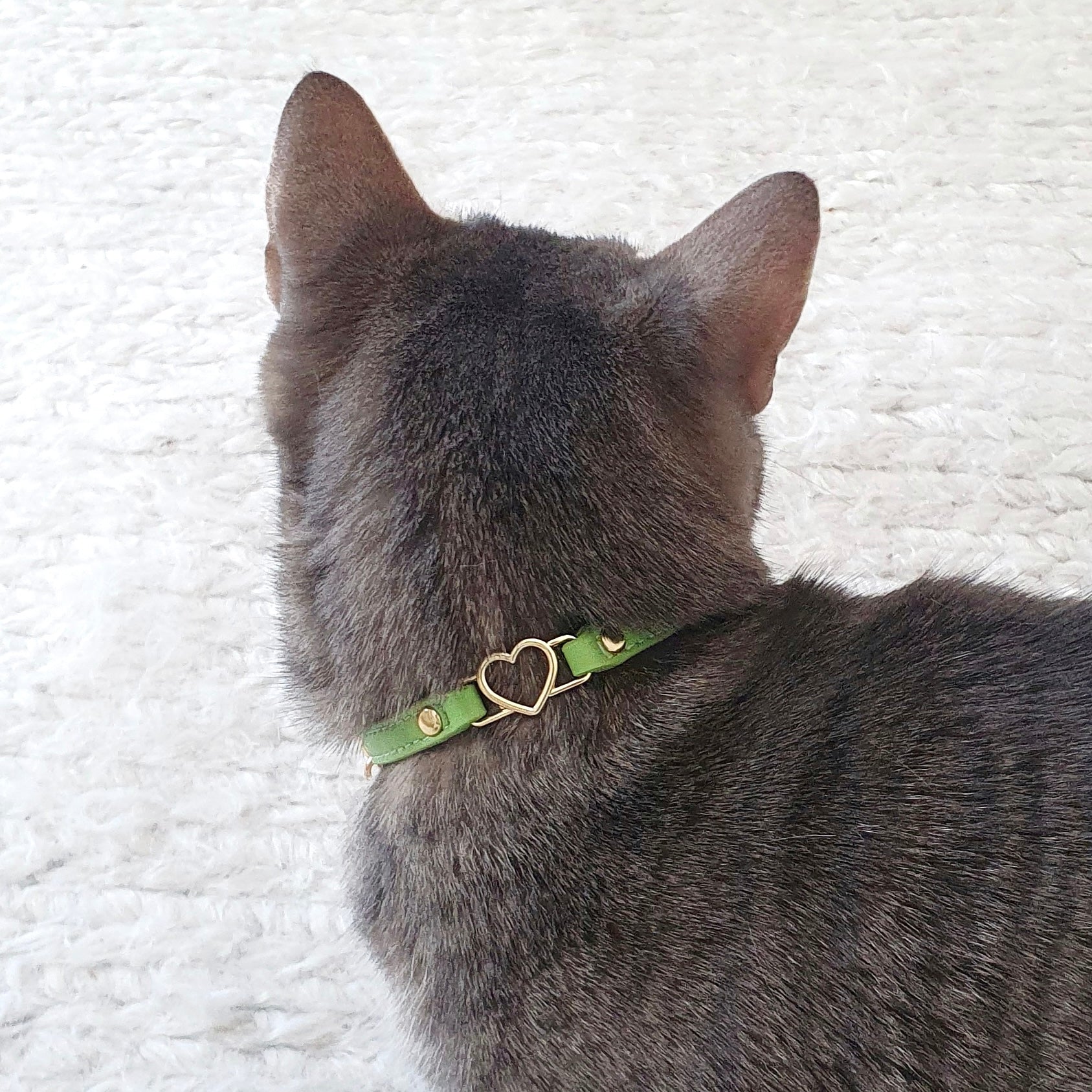 Cat Collar - Green