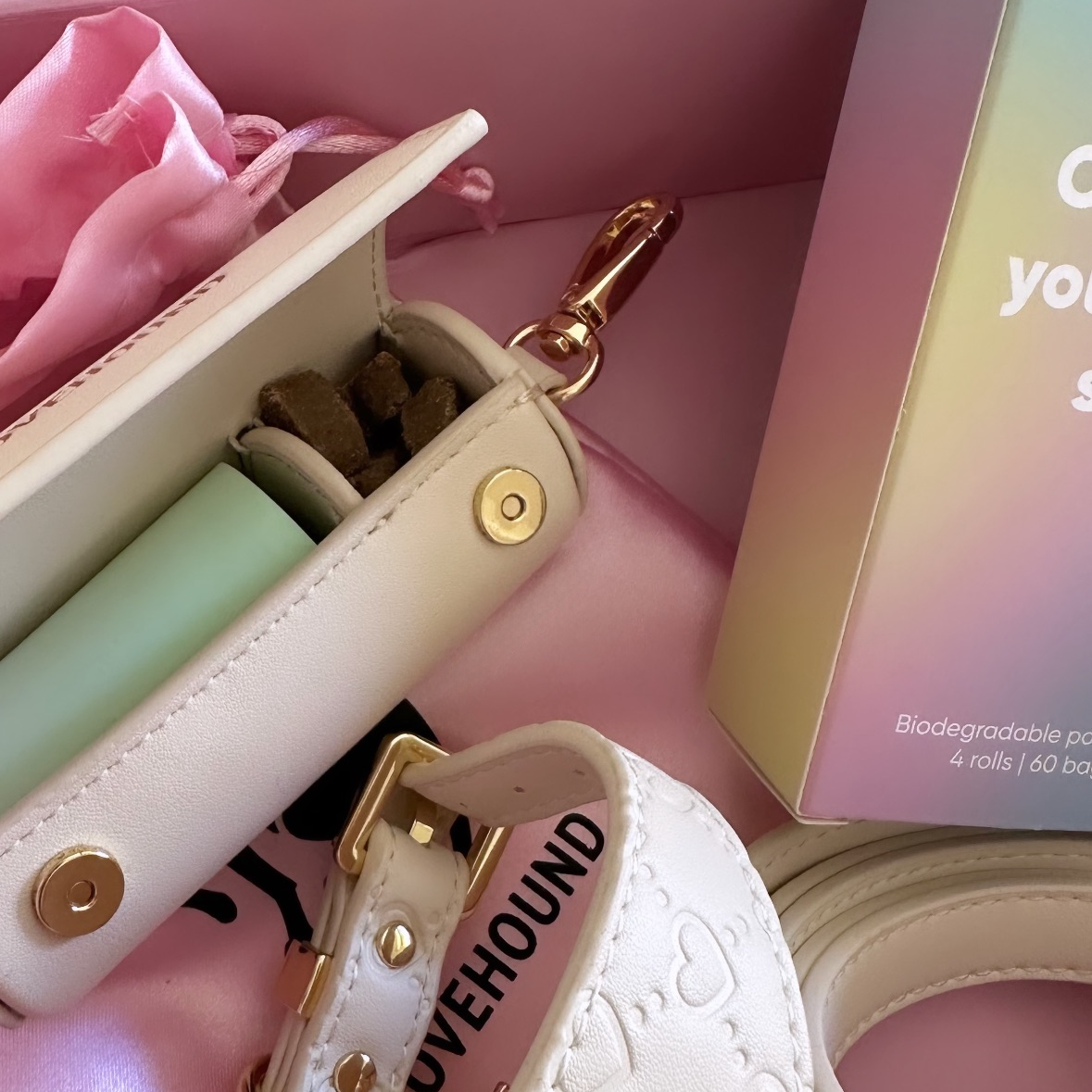 2 in 1 Poop Bag & Treat Holder - Daydream