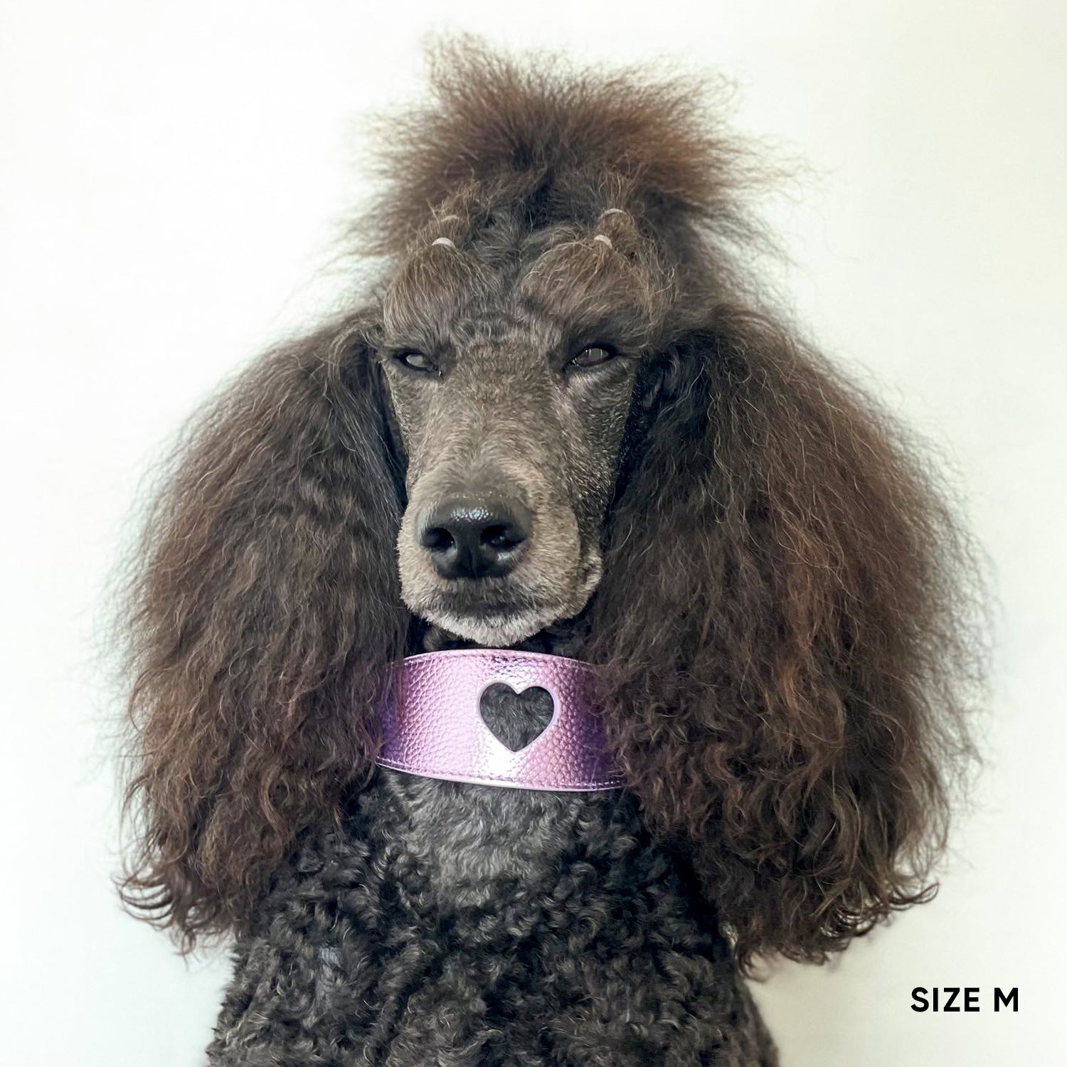 Sweetheart Dog Collar - Metallic Purple