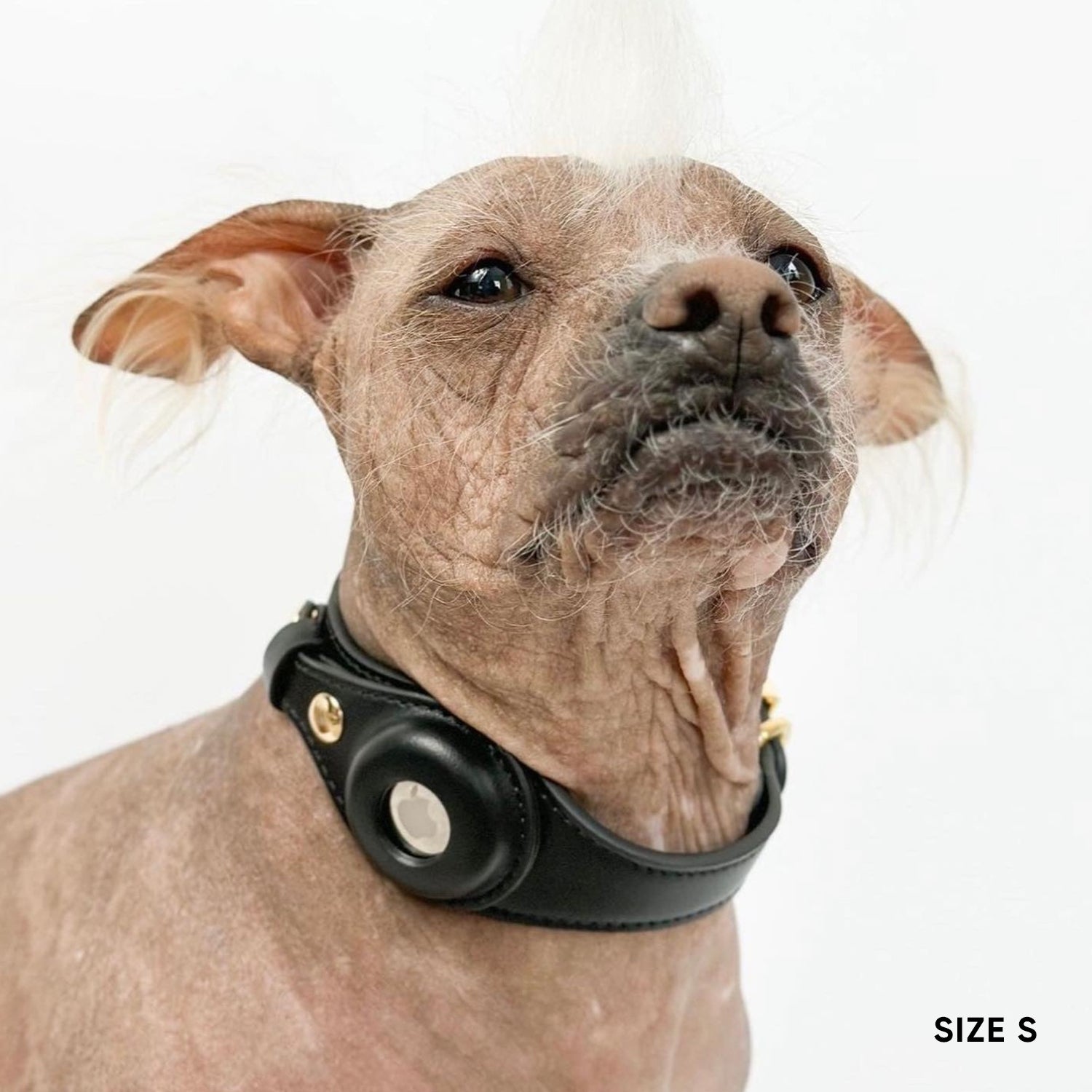 Airtag Dog Collar - Black