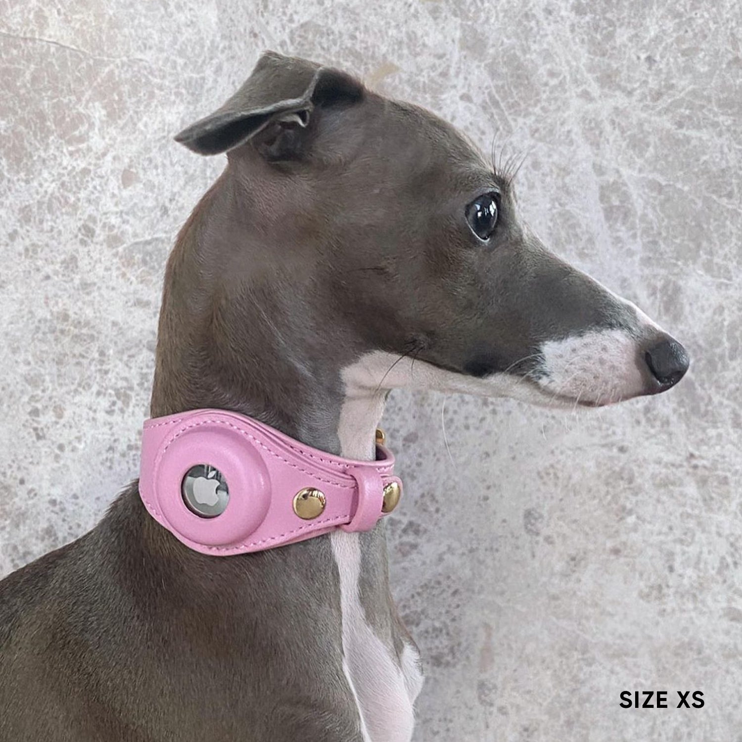 Airtag Dog Collar - Blossom Pink