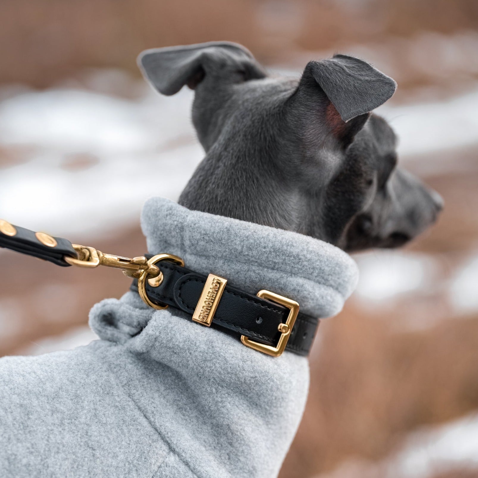 Airtag Dog Collar - Black