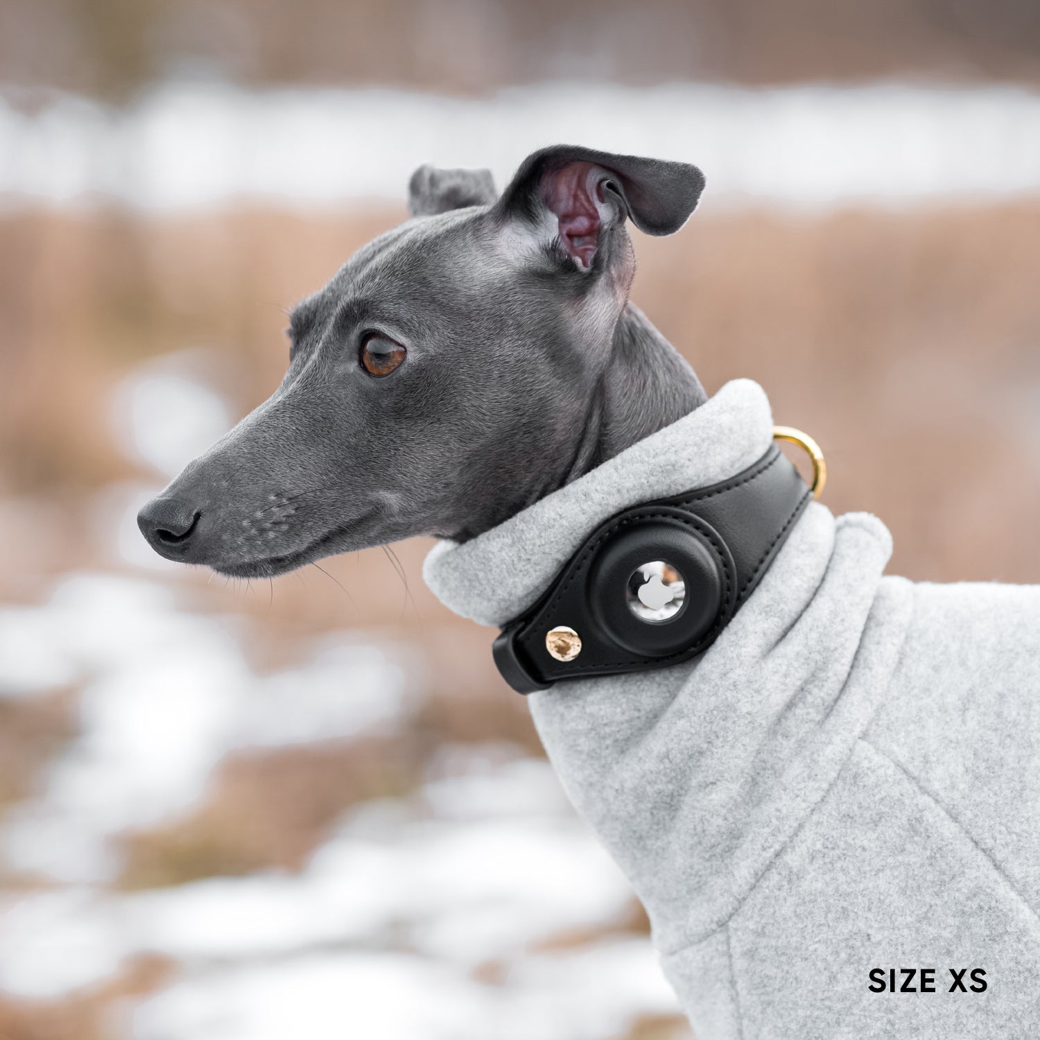 Airtag Dog Collar - Black